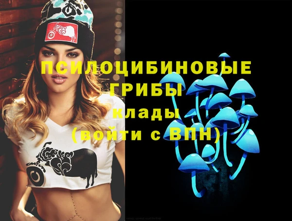 ALPHA PVP Верхний Тагил