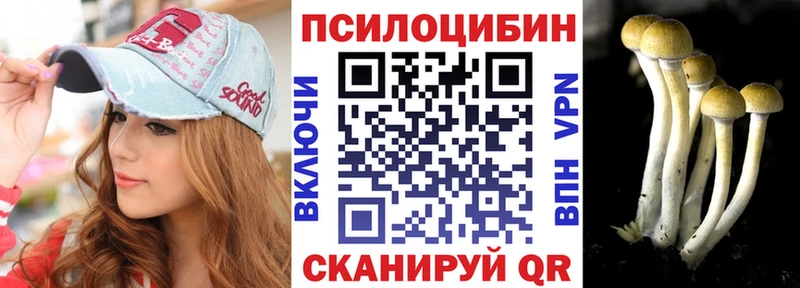 купить наркоту  Новохопёрск  Псилоцибиновые грибы GOLDEN TEACHER 